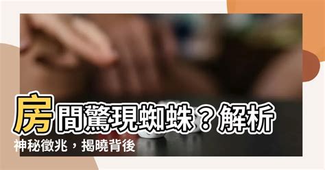 房間出現蜘蛛代表